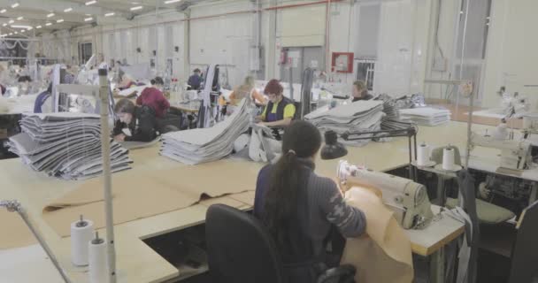 Krawcowa Pracuje Fabryce Odzieży Produkcja Tekstylna Proces Roboczy Szycie Profesjonalnego — Wideo stockowe