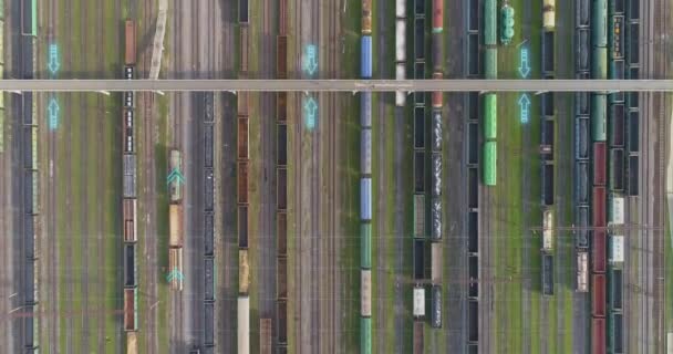 Transporte Por Concepto Ferrocarril Visualización Del Transporte Ferroviario Moderno Transporte — Vídeo de stock