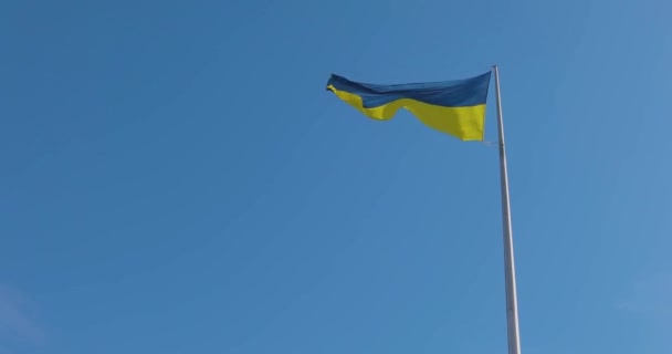 ウクライナの国旗 旗竿にウクライナ国旗 青い空に対するウクライナの旗 独立の象徴 — ストック動画