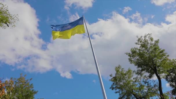 Bandeira Ucraniana Bandeira Ucraniana Mastro Bandeira Ucrânia Contra Céu Azul — Vídeo de Stock