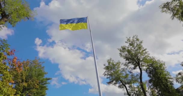Ukrayna Bayrağı Yavaş Çekim Genel Planıyla Rüzgarda Dalgalanıyor Gökyüzüne Karşı — Stok video