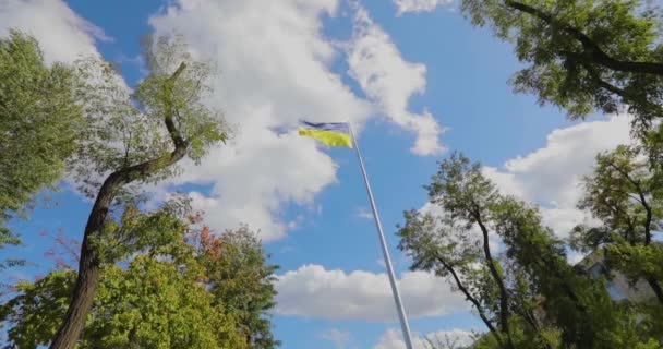 ゆっくりとした動きの一般的な計画では ウクライナの国旗が風になびく 空に対する旗竿にウクライナの旗 — ストック動画