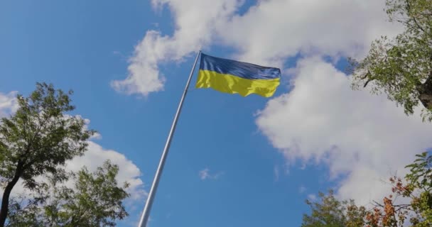 Bandeira Ucraniana Bandeira Ucraniana Mastro Bandeira Ucrânia Contra Céu Azul — Vídeo de Stock