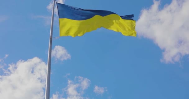 Ουκρανική Σημαία Ουκρανική Σημαία Κοντάρι Σημαίας Σημαία Της Ουκρανίας Ενάντια — Αρχείο Βίντεο