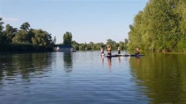 Girls do sports exercises on the sup board. Physical exercises on the sup board. Sports recreation on the river. Water sports.