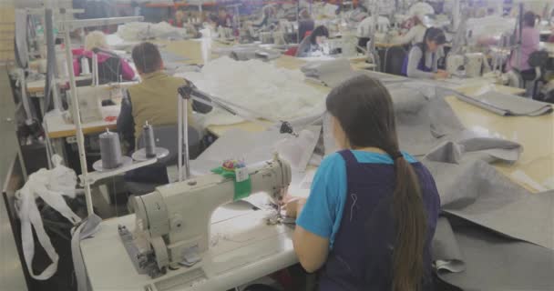 许多女裁缝在一家服装厂工作 在服装厂工作的过程 大型缝纫车间 缝纫机在工厂里制造产品 服装厂 — 图库视频影像