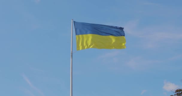 Bandera Ucrania Bandera Ucrania Asta Bandera Bandera Ucrania Contra Cielo — Vídeo de stock