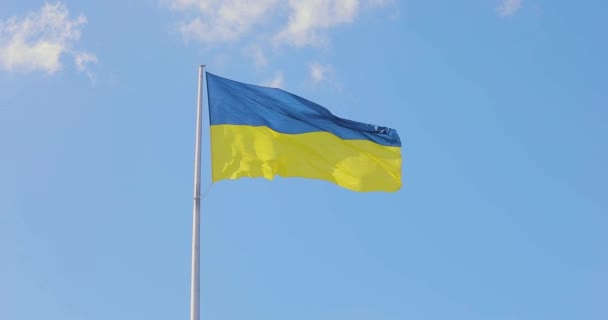 Ukrainian Flag Ukrainian Flag Flagpole Flag Ukraine Blue Sky Symbol — Stock Video