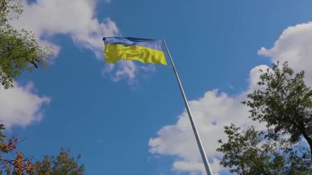 Український Прапор Прапор України Флагштоку Прапор України Проти Блакитного Неба — стокове відео