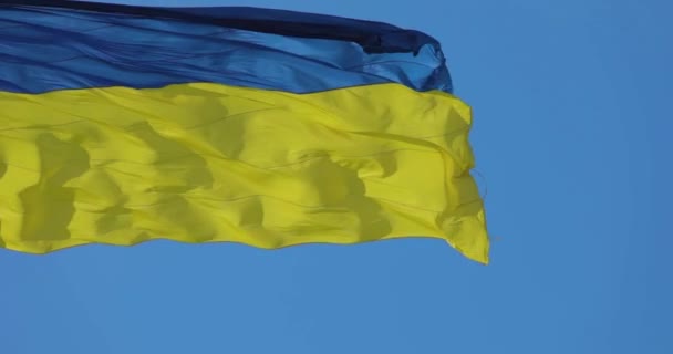 Ukrainska Flaggan Ukrainska Flaggan Flaggstång Flagga Ukraina Mot Den Blå — Stockvideo