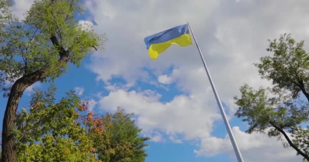 Drapeau Ukrainien Drapeau Ukrainien Sur Mât Drapeau Ukraine Contre Ciel — Video