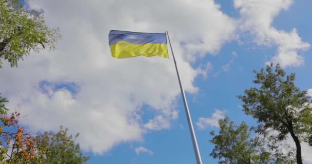 Ukrayna Bayrağı Bayrak Direğinde Ukrayna Bayrağı Mavi Gökyüzüne Karşı Ukrayna — Stok video