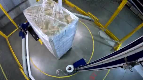Κουτιά Συσκευασίας Πλαστική Μεμβράνη Κουτί Τέντωμα Μηχανή Περιτύλιξης Μηχανή Περιτυλίγματος — Αρχείο Βίντεο