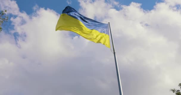 우크라이나 사람들 지나갔다 우크라이나 국기가 바람에 나부끼고 있습니다 우크라이나 하늘을 — 비디오