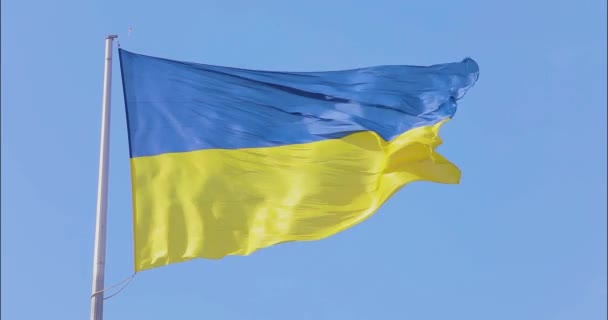 Ουκρανική Σημαία Ουκρανική Σημαία Κοντάρι Σημαίας Σημαία Της Ουκρανίας Ενάντια — Αρχείο Βίντεο