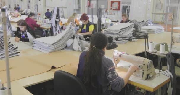 Una Costurera Trabaja Una Fábrica Ropa Producción Textil Proceso Trabajo — Vídeo de stock