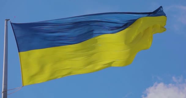 Ukrán Zászló Közeledik Szélben Lassítva Ukrán Zászló Egy Zászlórúdon Lassított — Stock videók