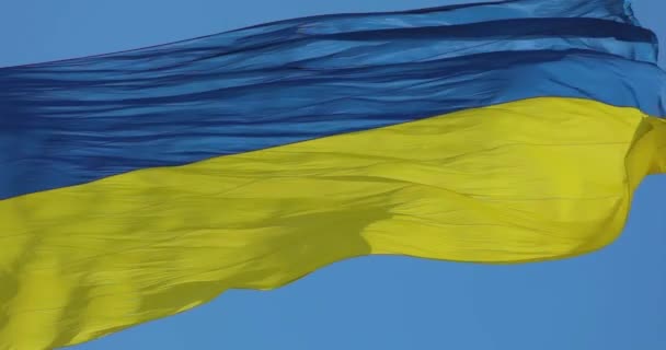 Ukrainische Flagge Wind Die Flagge Der Ukraine Flattert Wind Ukraine — Stockvideo