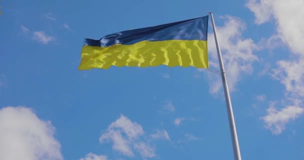 Oekraïense Vlag Oekraïense Vlag Een Vlaggenmast Vlag Van Oekraïne Tegen — Stockvideo