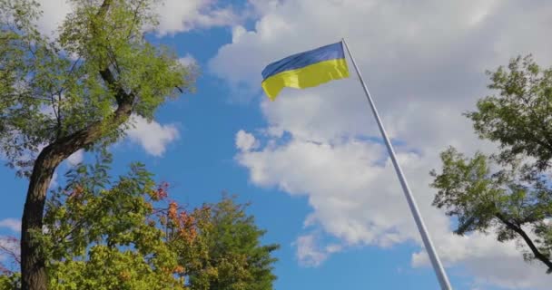 Bandeira Ucraniana Flutua Vento Câmera Lenta Plano Geral Bandeira Ucraniana — Vídeo de Stock