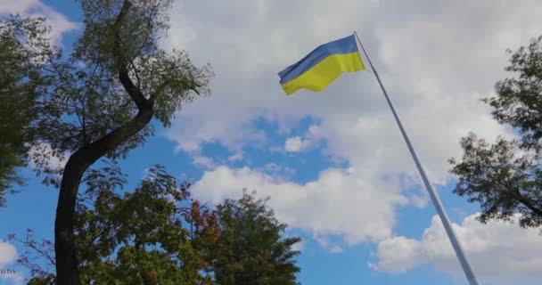 Ukrainian Flag Flutters Wind Slow Motion General Plan Ukrainian Flag — Stock Video