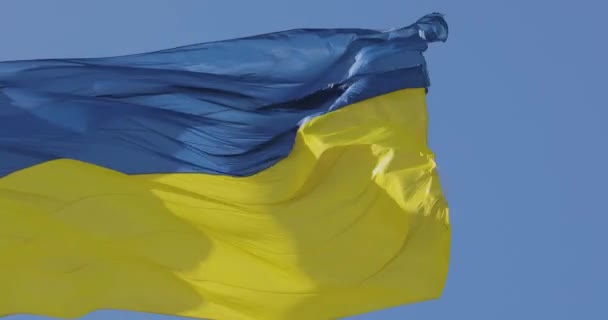 Bandera Ucrania Bandera Ucrania Asta Bandera Bandera Ucrania Contra Cielo — Vídeo de stock