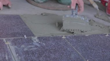 The builder lays tiles on the cement mortar. Construction worker laying tiles on the floor for mortar.