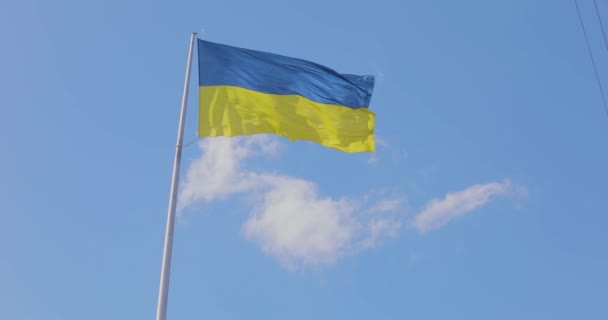 乌克兰国旗 旗杆上的乌克兰国旗乌克兰国旗在蓝天上飘扬 独立的象征 — 图库视频影像
