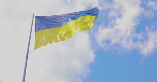 Український Фланг Під Вітром Прапор України Віє Вітрі Український Прапор — стокове відео