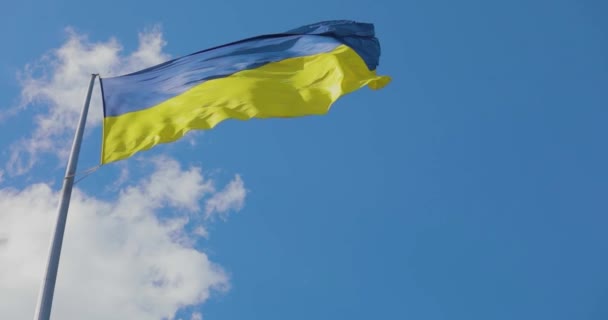 Bendera Ukraina Bendera Ukraina Tiang Bendera Bendera Ukraina Melawan Langit — Stok Video