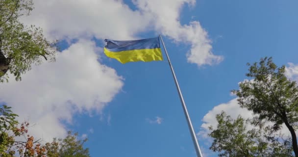 Den Ukrainska Flaggan Fladdrar Vinden Slow Motion Allmän Plan Ukrainska — Stockvideo