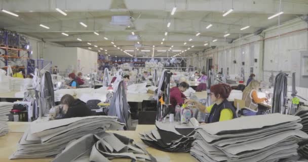 Wiele Szwaczek Pracuje Fabryce Odzieży Proces Pracy Fabryce Odzieży Duży — Wideo stockowe