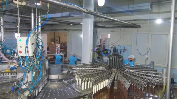 Ice Cream Chocolate Conveyor Line Production Ice Cream Stick Automated — Vídeos de Stock