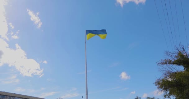 Flan Ucraniano Viento Bandera Ucrania Ondea Viento Bandera Ucrania Contra — Vídeos de Stock