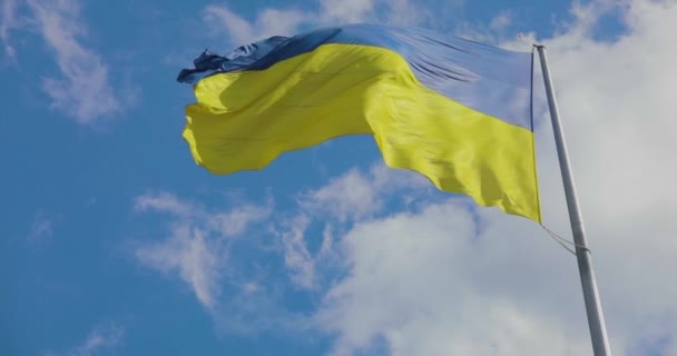 Ukrainian Flag Ukrainian Flag Flagpole Flag Ukraine Blue Sky Symbol — Stock Video