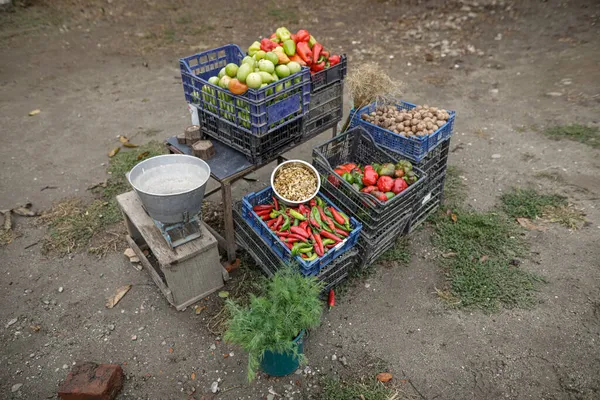 Flache Schärfentiefe Selektiver Fokus Bild Mit Gemüse Rote Und Grüne — Stockfoto
