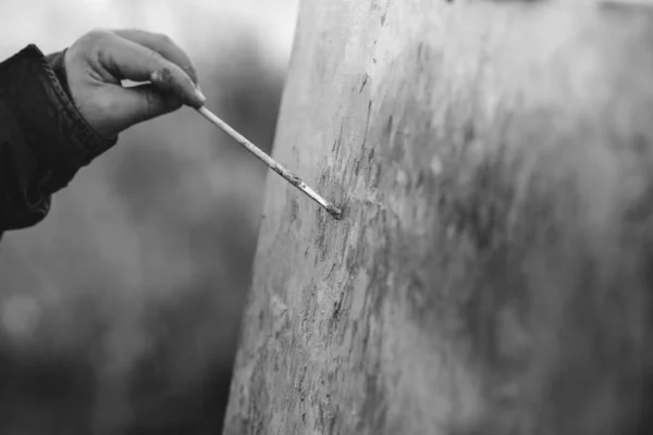 Profundidade Rasa Imagem Campo Foco Seletivo Com Pintor Masculino Pintando — Fotografia de Stock