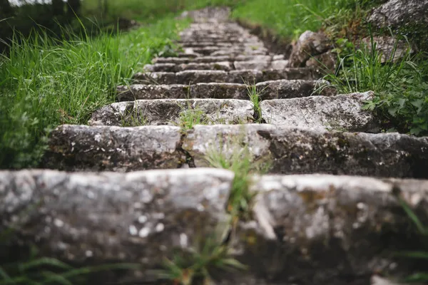 Shallow Depth Field Selective Focus Image Medieval Stone Steps Bran — Stock Photo, Image