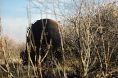 Güneşli bir kış gününde, bir tarlanın ortasında eski ve paslı demiryolu petrol tankeri ile sığ alan derinliği (seçici odak) görüntüsü.