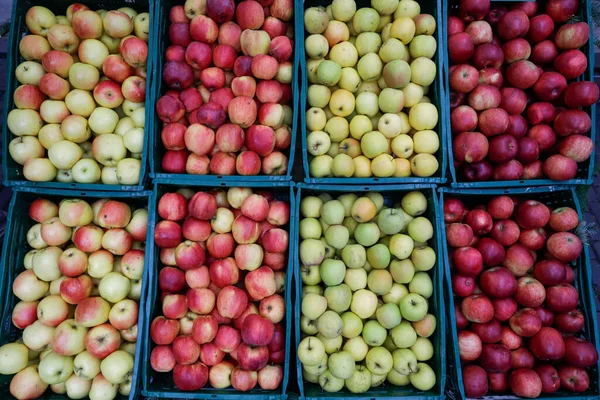 Imagen Campo Poco Profundo Enfoque Selectivo Con Manzanas Frescas Orgánicas — Foto de Stock