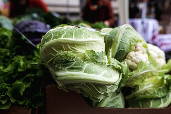 Flache Schärfentiefe Selektiver Fokus Bild Mit Frischem Bio Salat Zum — Stockfoto