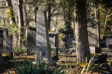 Sighisoara, Romanya - 30 Ekim 2021: Ortaçağ kalesindeki eski Sakson mezarlığından kalma mezarlar, mezar taşları ve bitki örtüsüyle ilgili ayrıntılar ve dolambaçlı yollar ve sarmaşık kaplı mezarlarla dolu.