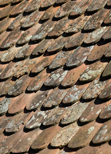 Shallow Depth Field Selective Focus Details Transylvanian Saxon Traditional Clay — стоковое фото