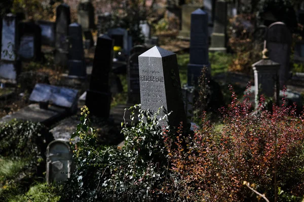 Sighisoara Romania October 2021 Details Tombs Tombstones Vegetation Old Saxon — Fotografia de Stock