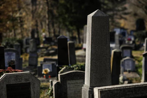 Sighisoara Romania October 2021 Details Tombs Tombstones Vegetation Old Saxon — ストック写真