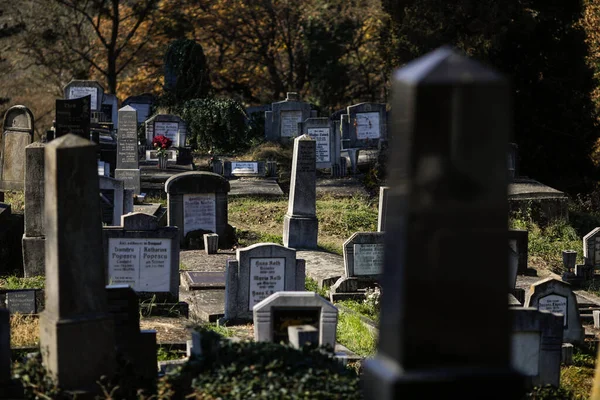 Sighisoara Romania October 2021 Details Tombs Tombstones Vegetation Old Saxon — 스톡 사진