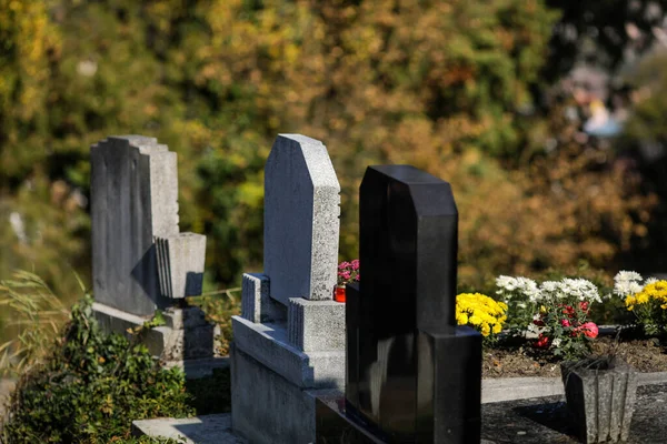 ルーマニアのシギソアラ 2021年10月30日 中世の城塞の古いサクソン墓地からの墓 植生の詳細と曲がりくねった道とツタで覆われた墓 — ストック写真