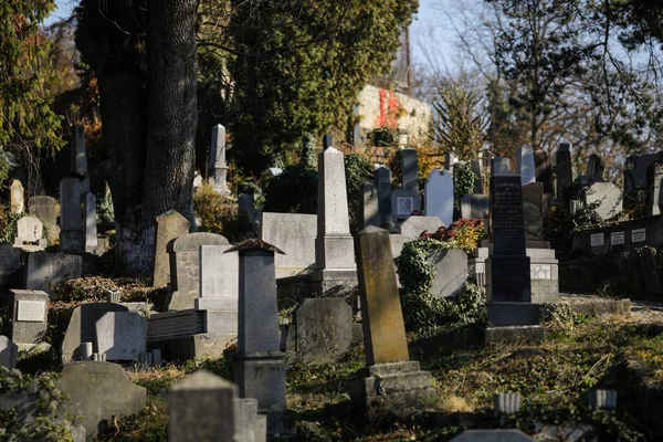 Sighisoara Romania October 2021 Details Tombs Tombstones Vegetation Old Saxon — Fotografia de Stock