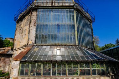 Eski ve paslı metalik yeşil evdeki bitkilerle ilgili detaylar.