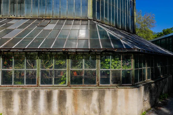 Eski ve paslı metalik yeşil evdeki bitkilerle ilgili detaylar.